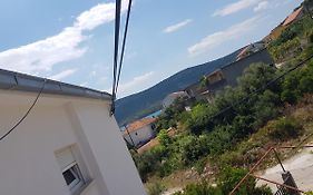 Apartment Mira